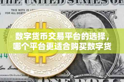 数字货币交易平台的选择，哪个平台更适合购买数字货币？