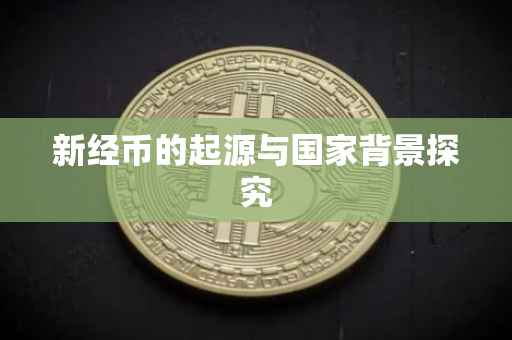 新经币的起源与国家背景探究