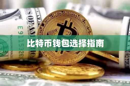 比特币钱包选择指南