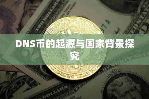 DNS币的起源与国家背景探究