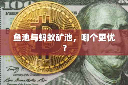 鱼池与蚂蚁矿池，哪个更优？