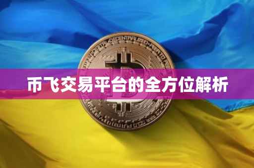 币飞交易平台的全方位解析