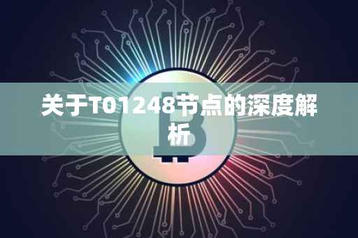 关于T01248节点的深度解析