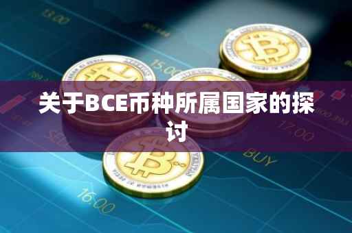 关于BCE币种所属国家的探讨