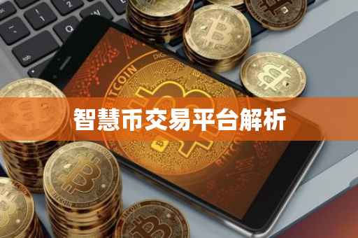 智慧币交易平台解析