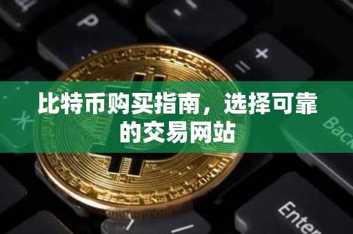 比特币购买指南，选择可靠的交易网站