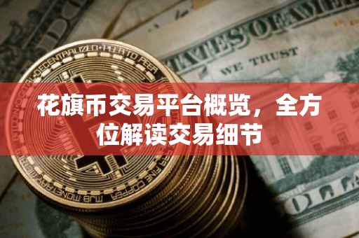 花旗币交易平台概览，全方位解读交易细节