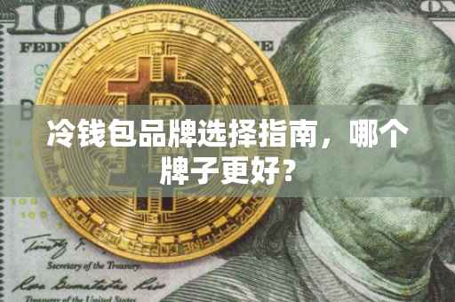 冷钱包品牌选择指南，哪个牌子更好？