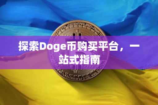 探索Doge币购买平台，一站式指南