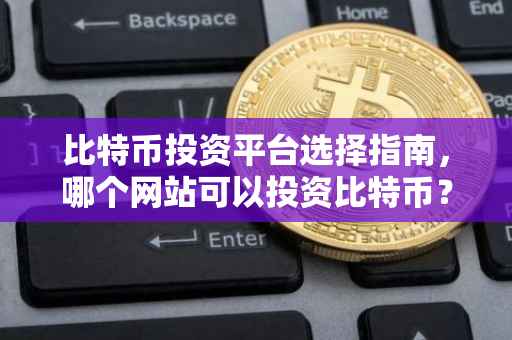 比特币投资平台选择指南，哪个网站可以投资比特币？