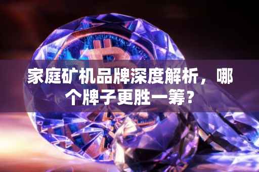 家庭矿机品牌深度解析，哪个牌子更胜一筹？