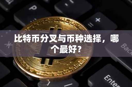 比特币分叉与币种选择，哪个最好？