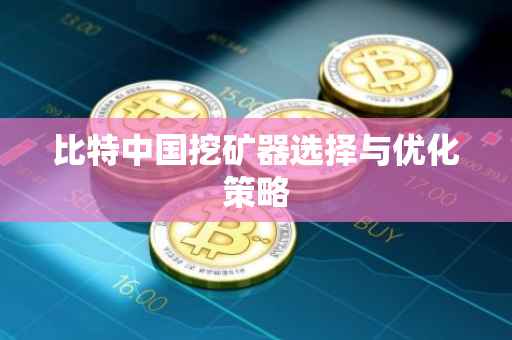 比特中国挖矿器选择与优化策略