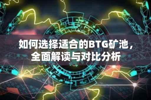 如何选择适合的BTG矿池，全面解读与对比分析