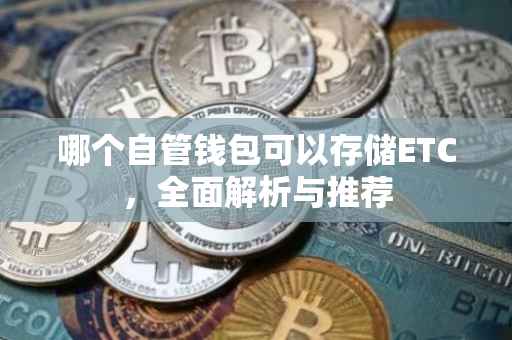 哪个自管钱包可以存储ETC，全面解析与推荐