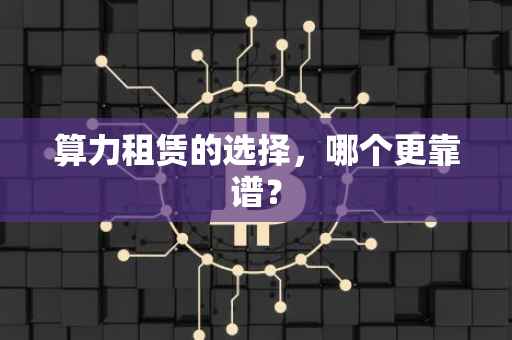 算力租赁的选择，哪个更靠谱？
