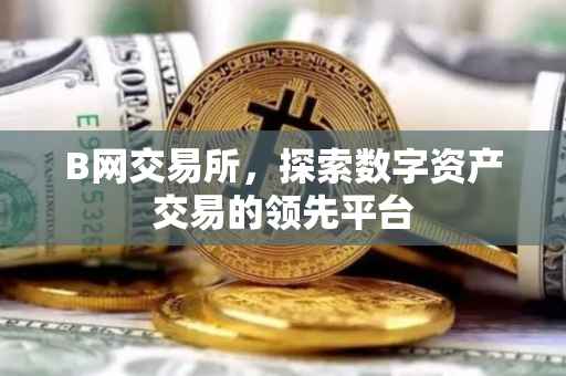 B网交易所，探索数字资产交易的领先平台