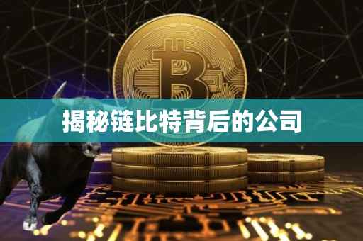 揭秘链比特背后的公司