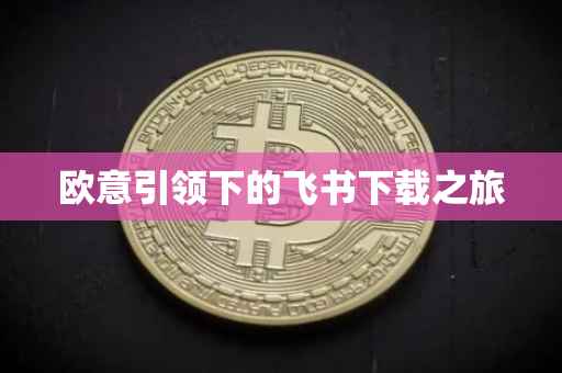 欧意引领下的飞书下载之旅