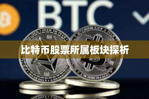 比特币股票所属板块探析