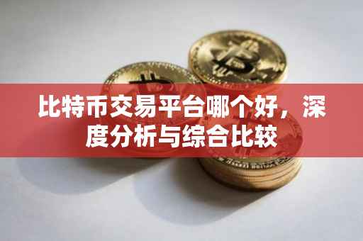 比特币交易平台哪个好，深度分析与综合比较