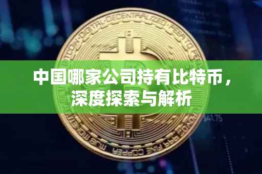 中国哪家公司持有比特币，深度探索与解析