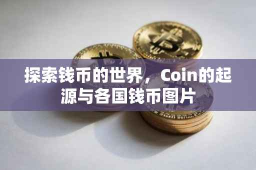 探索钱币的世界，Coin的起源与各国钱币图片