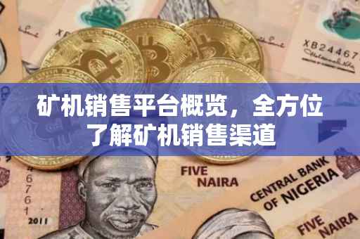 矿机销售平台概览，全方位了解矿机销售渠道