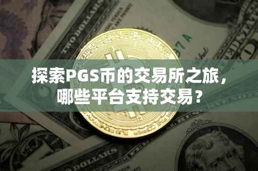 探索PGS币的交易所之旅，哪些平台支持交易？