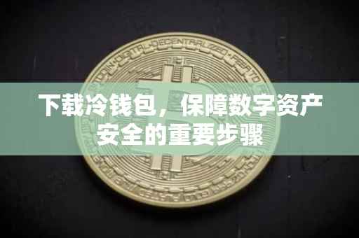 下载冷钱包，保障数字资产安全的重要步骤