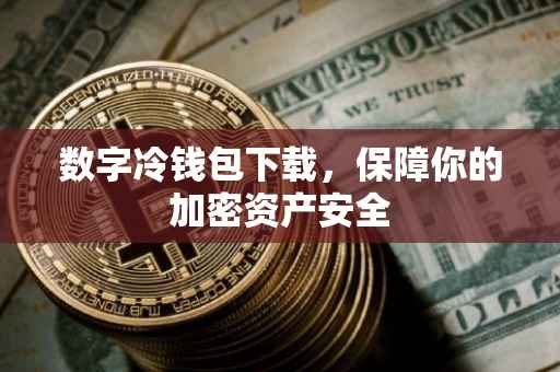 数字冷钱包下载，保障你的加密资产安全