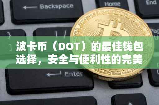 波卡币（DOT）的最佳钱包选择，安全与便利性的完美结合