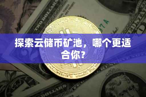 探索云储币矿池，哪个更适合你？