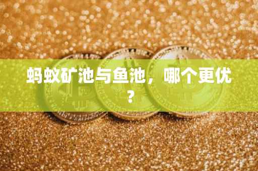 蚂蚁矿池与鱼池，哪个更优？