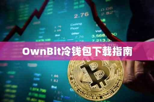 OwnBit冷钱包下载指南