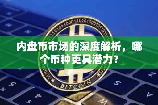 内盘币市场的深度解析，哪个币种更具潜力？