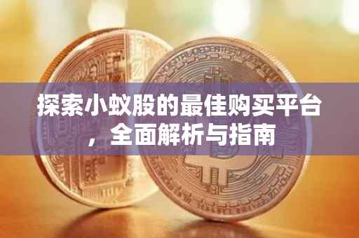 探索小蚁股的最佳购买平台，全面解析与指南