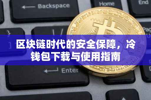 区块链时代的安全保障，冷钱包下载与使用指南