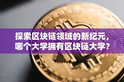 探索区块链领域的新纪元，哪个大学拥有区块链大学？