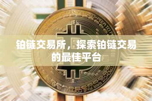 铂链交易所，探索铂链交易的最佳平台