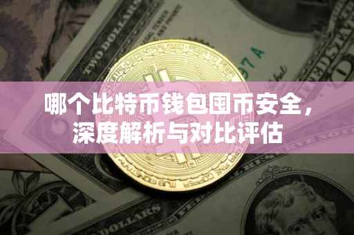 哪个比特币钱包囤币安全，深度解析与对比评估