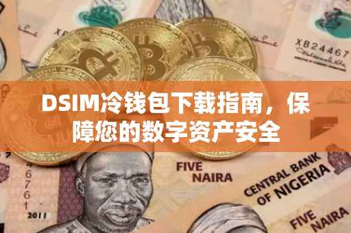 DSIM冷钱包下载指南，保障您的数字资产安全
