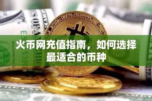 火币网充值指南，如何选择最适合的币种