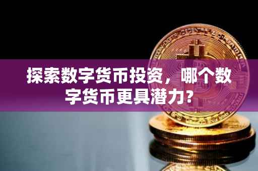 探索数字货币投资，哪个数字货币更具潜力？