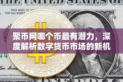 聚币网哪个币最有潜力，深度解析数字货币市场的新机遇与挑战