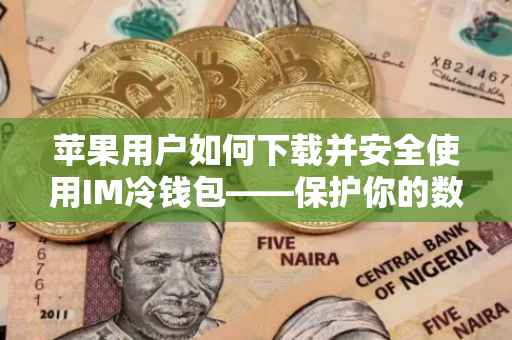 苹果用户如何下载并安全使用IM冷钱包——保护你的数字资产安全
