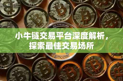 小牛链交易平台深度解析，探索最佳交易场所