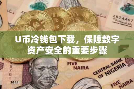 U币冷钱包下载，保障数字资产安全的重要步骤
