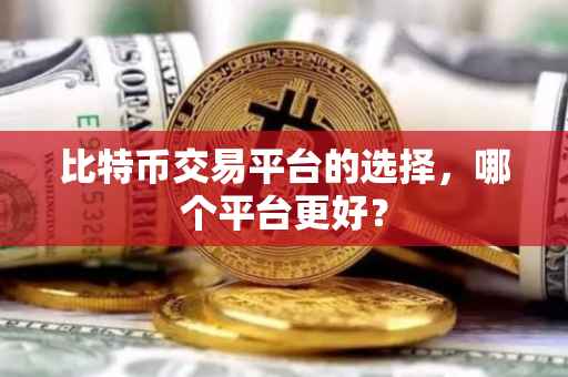 比特币交易平台的选择，哪个平台更好？