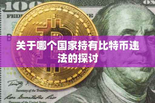 关于哪个国家持有比特币违法的探讨
